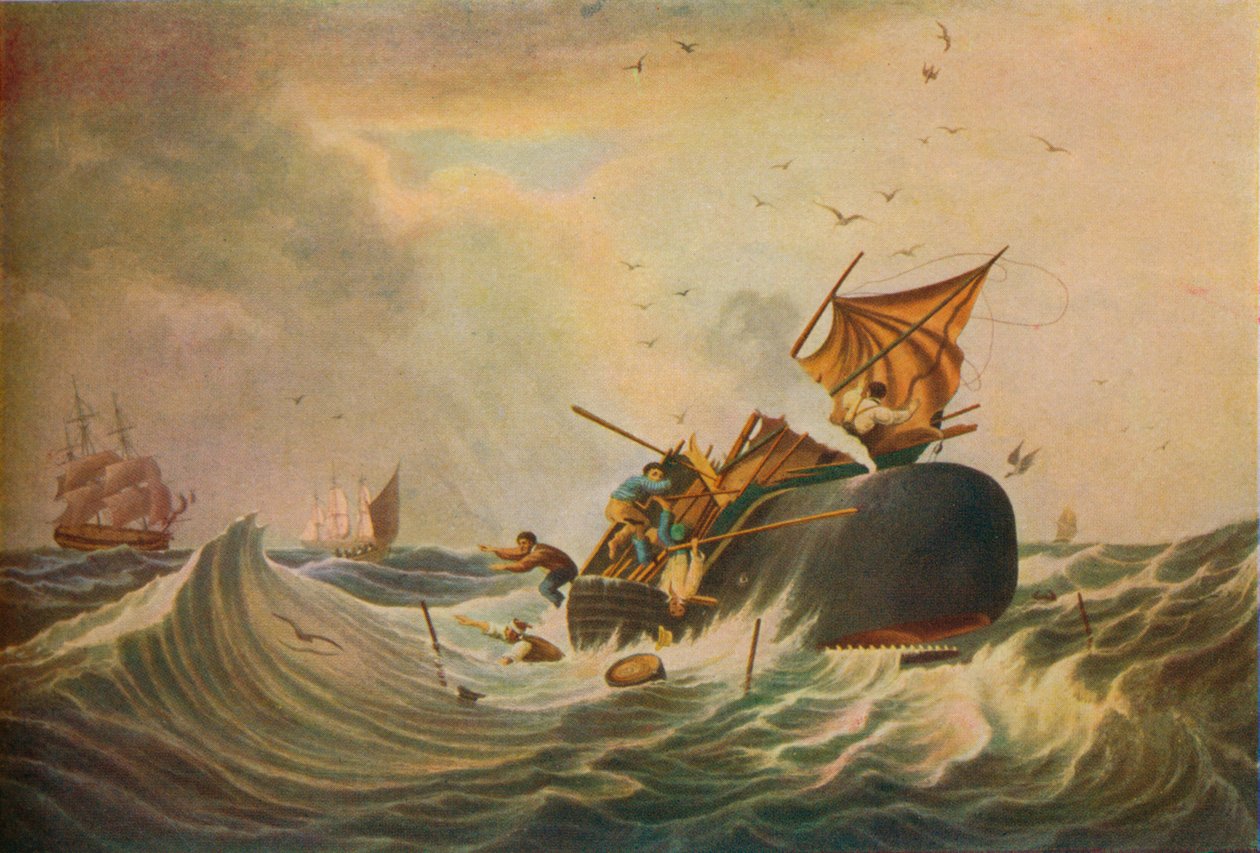 Güney Denizi Balina Balıkçılığı, 1836 by Edward Duncan