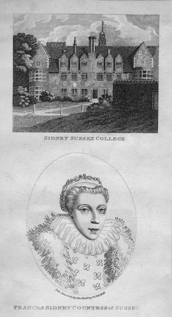 Sidney Sussex Koleji, Sussex