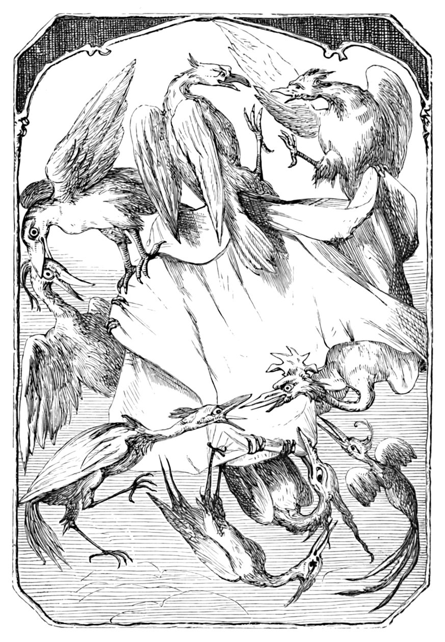 Eşek Lahanaları, 1901 by Edward Henry Wehnert