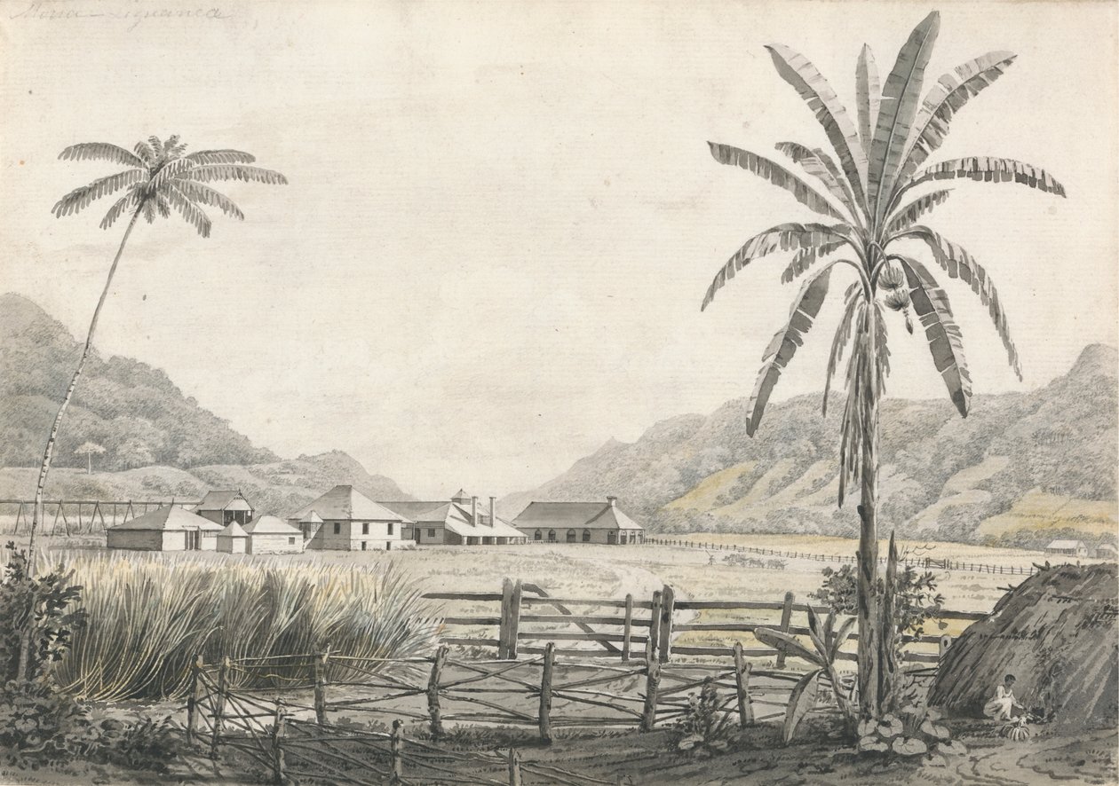 Hall-head Sugar Plantation'dan Bir Görünüm, Jamaika by Edward Kennion