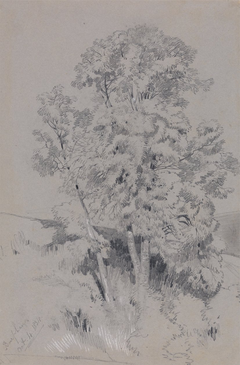  by Edward Lear