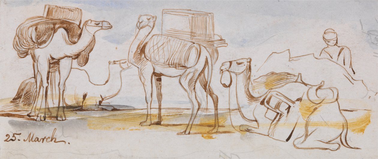  by Edward Lear