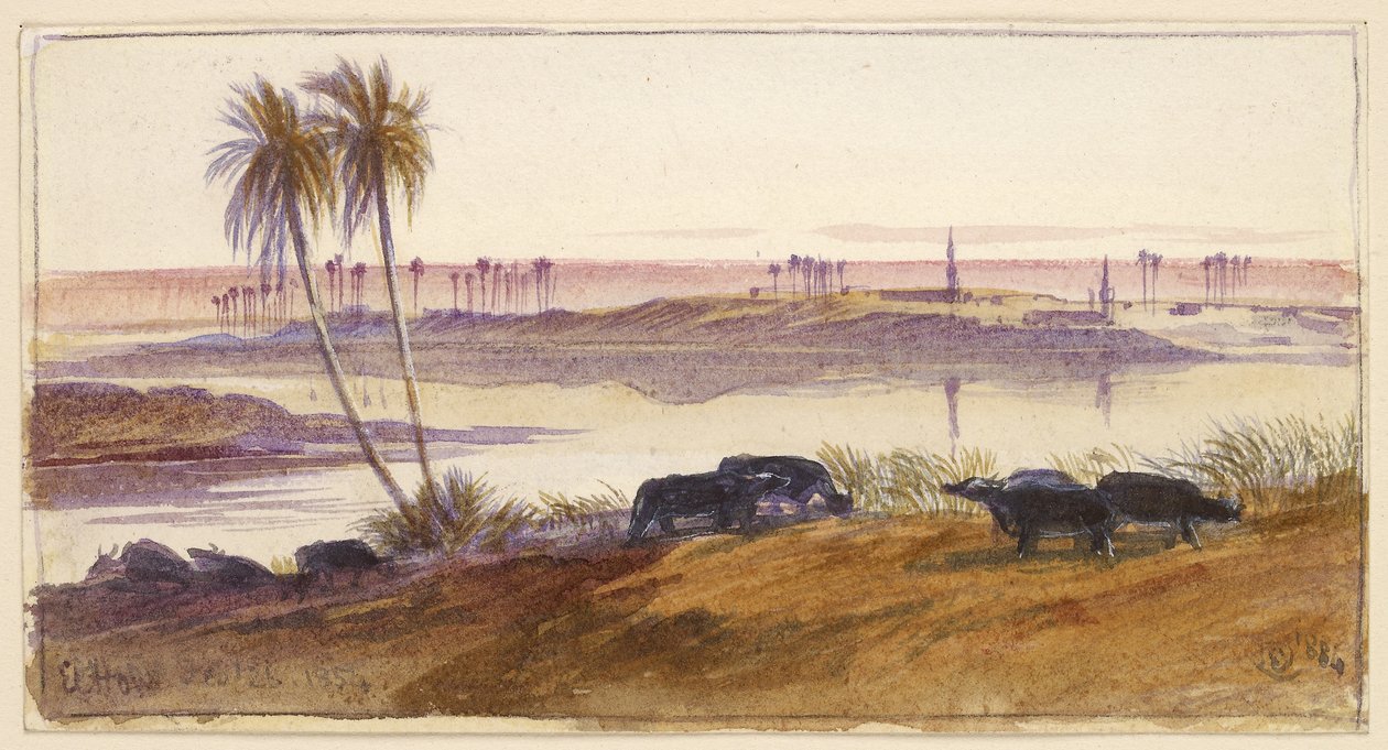 El Hon, Mısır, 1884 (suluboya ve kalem ve gövde rengiyle mürekkep) by Edward Lear