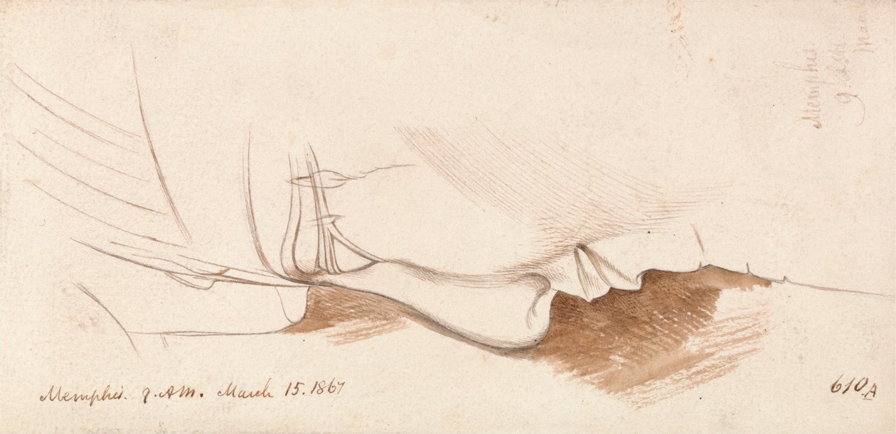  by Edward Lear