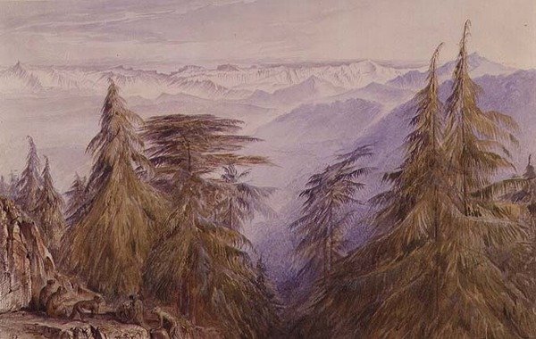 Simla, Kuzey Hindistan yakınlarındaki bir kayalıkta maymunlar by Edward Lear