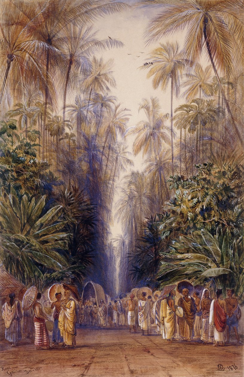 Galle Yolunda, Seylan by Edward Lear