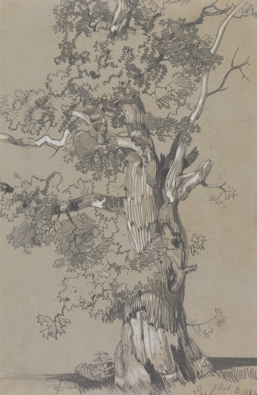  by Edward Lear
