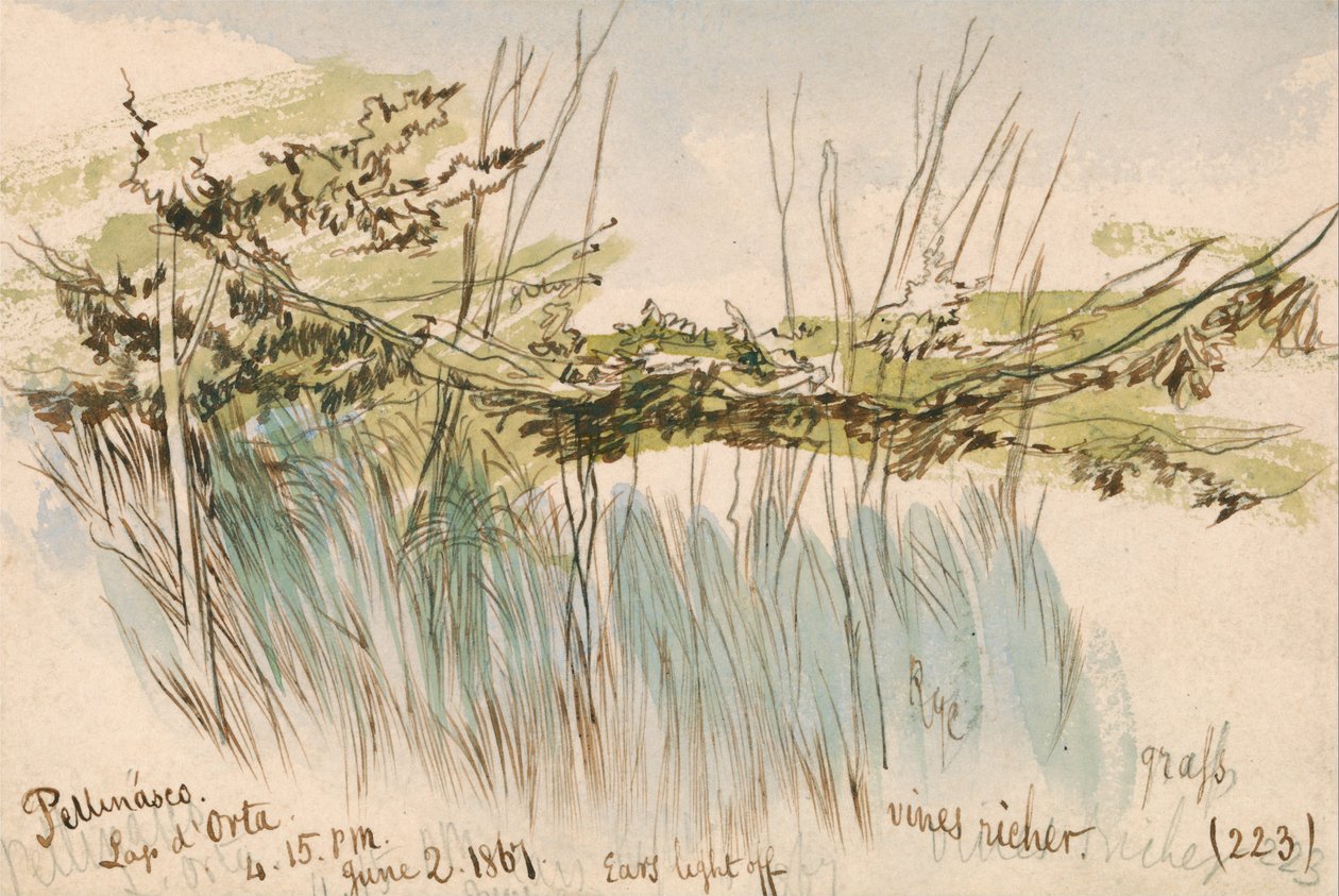Pettenasco, Orta Gölü by Edward Lear