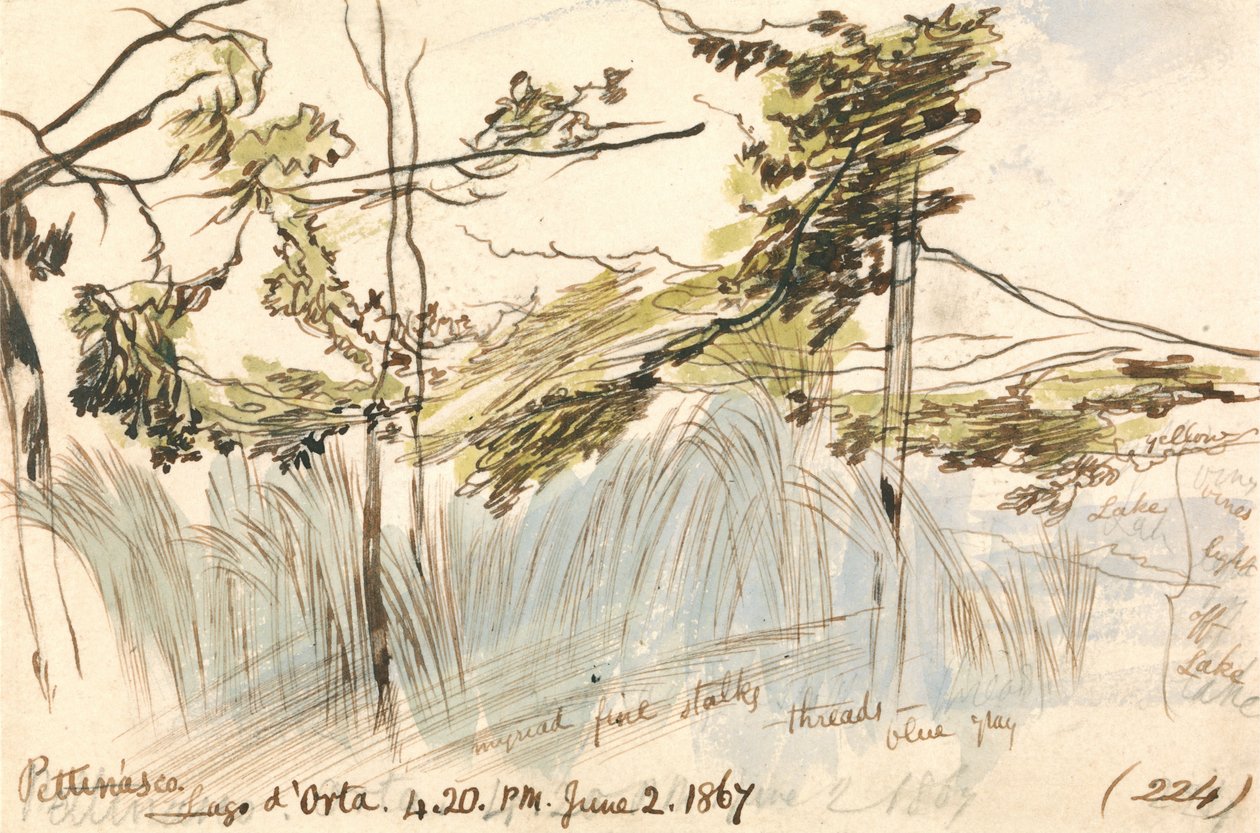  by Edward Lear