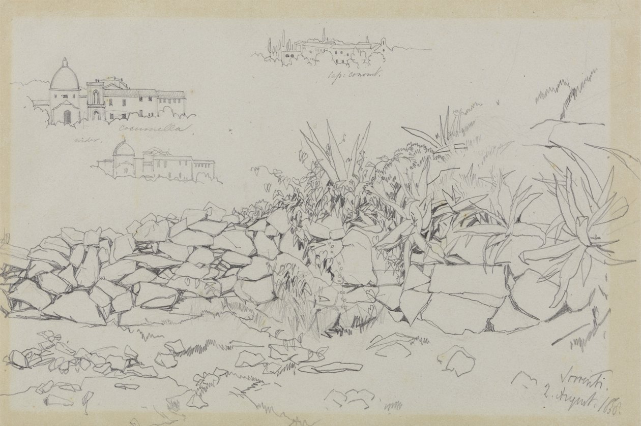 Sorrento, 2 Ağustos 1838 (gri dokuma kağıt üzerine grafit) by Edward Lear