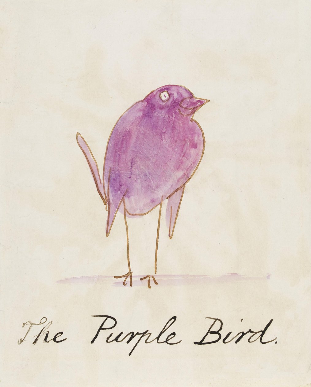 Mor Kuş, "Çizgi Kuşların On Altı Çizimi"nden by Edward Lear