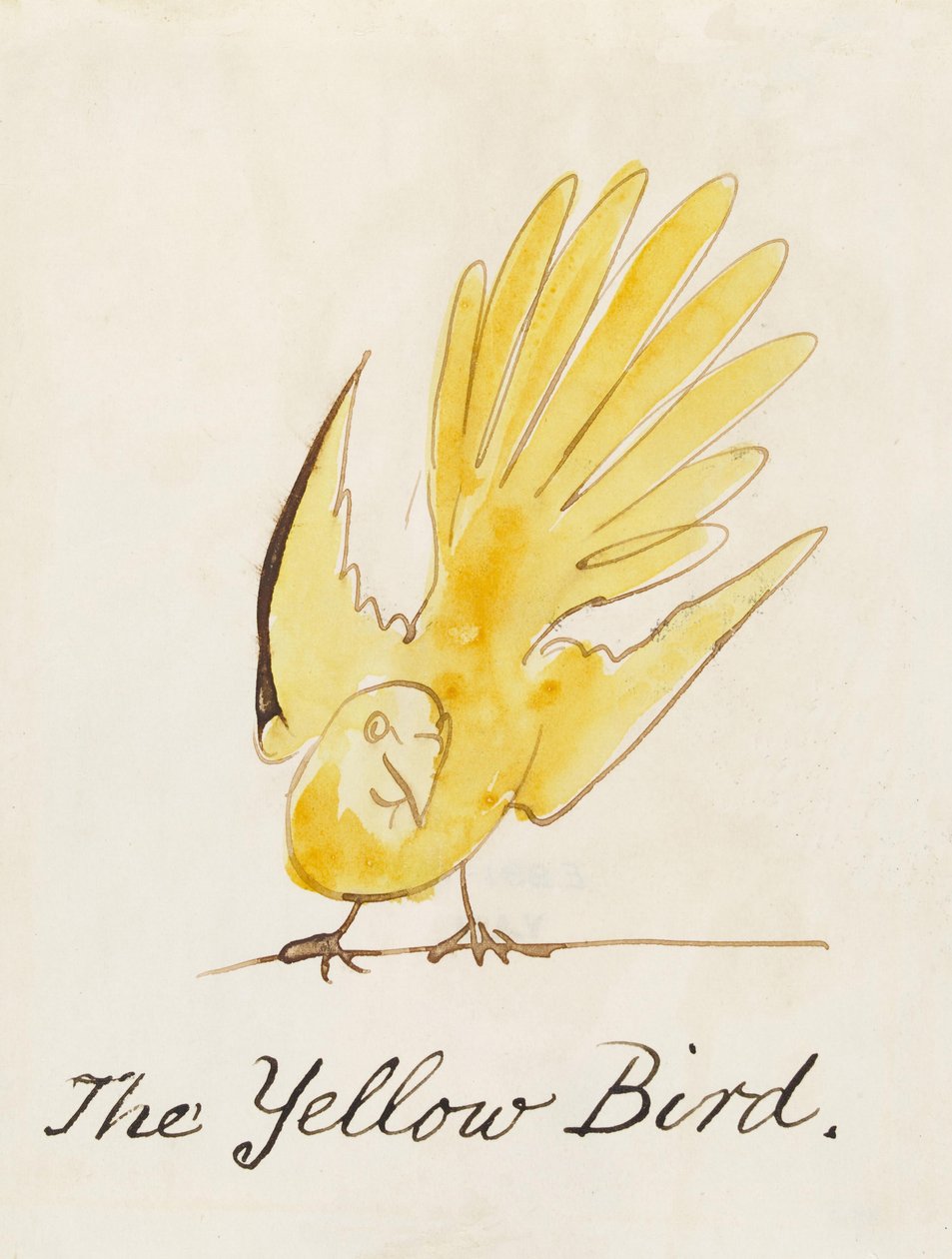 Sarı Kuş, "Çizgi Kuşların On Altı Çizimi"nden by Edward Lear
