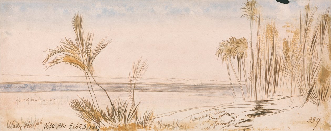  by Edward Lear