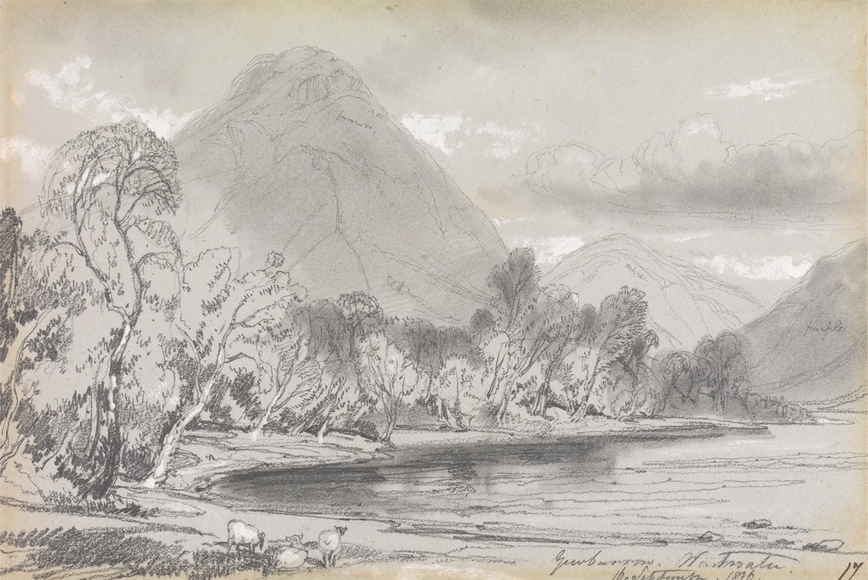 Porsuk arabası, Atık su, 16 Eylül 1836 by Edward Lear