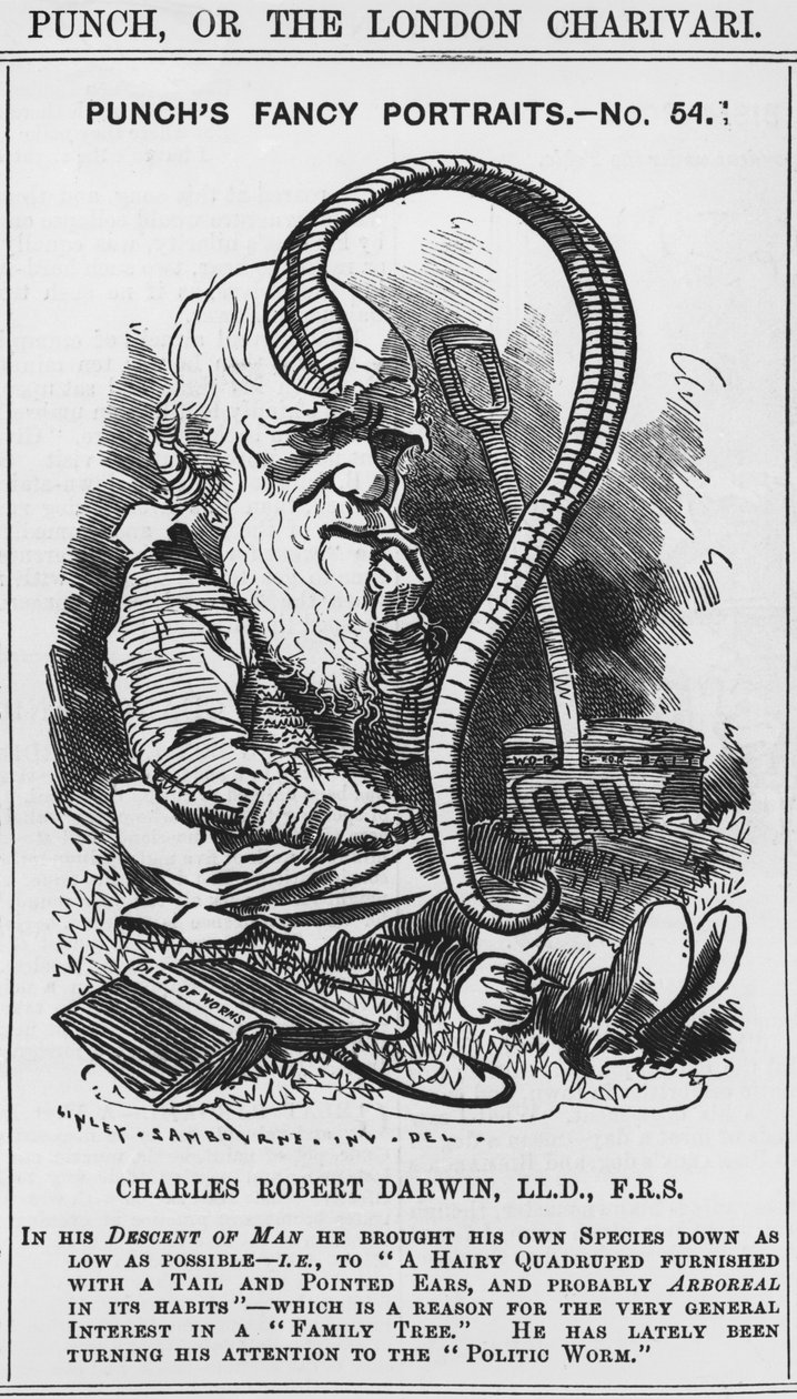 Charles Darwin, Punch'ın süslü portreleri, No 54, 'Punch' veya 'The London Charivari'den illüstrasyon by Edward Linley (after) Sambourne