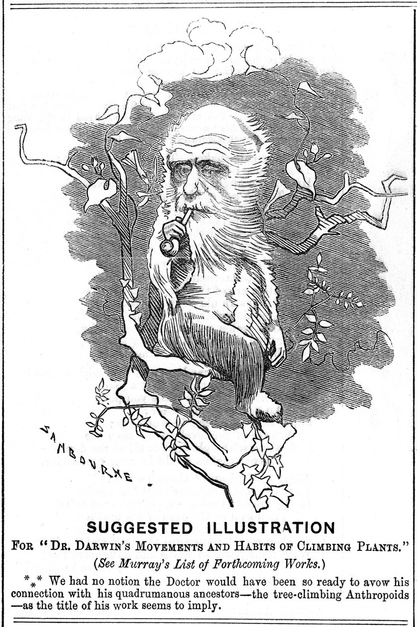 Charles Darwin, İngiliz doğa bilimci, 1875 by Edward Linley Sambourne