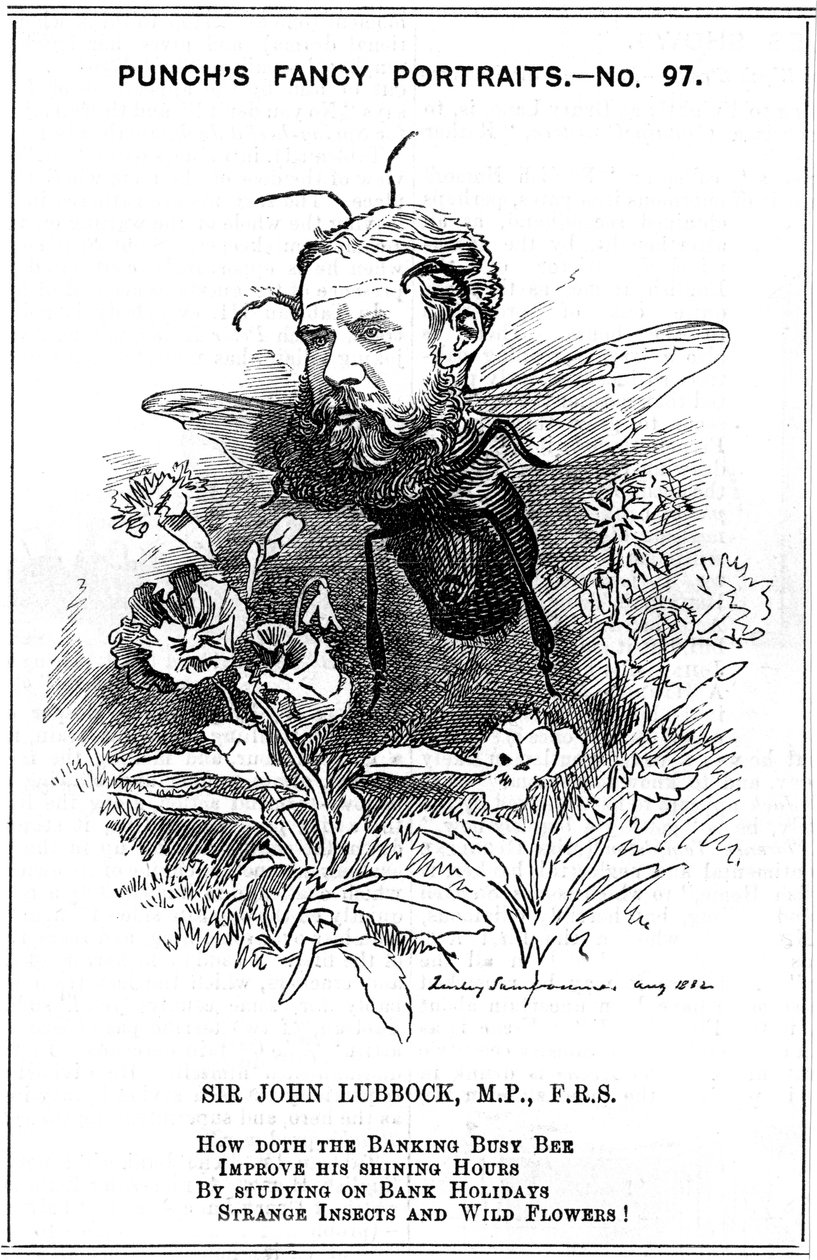 John Lubbock, ilk Baron Avebury, İngiliz bankacı, arkeolog, doğa bilimci ve politikacı, 1882 by Edward Linley Sambourne