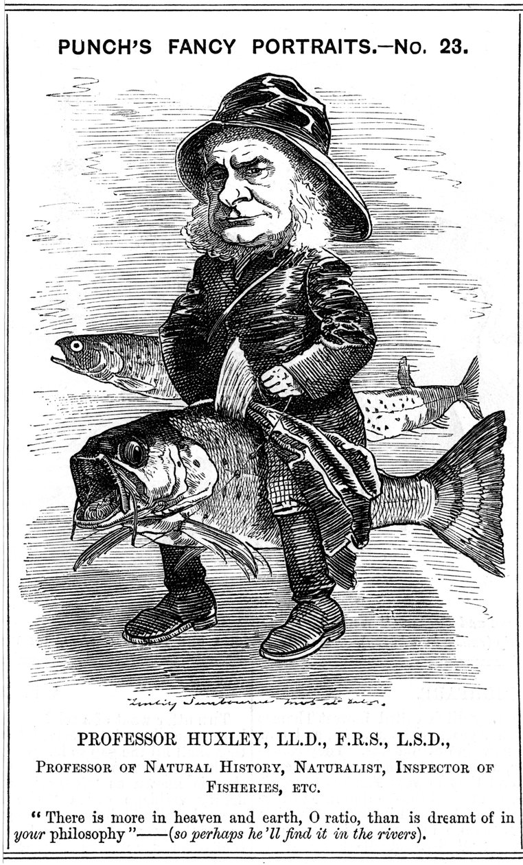 Thomas Henry Huxley, İngiliz biyolog, 1881 by Edward Linley Sambourne