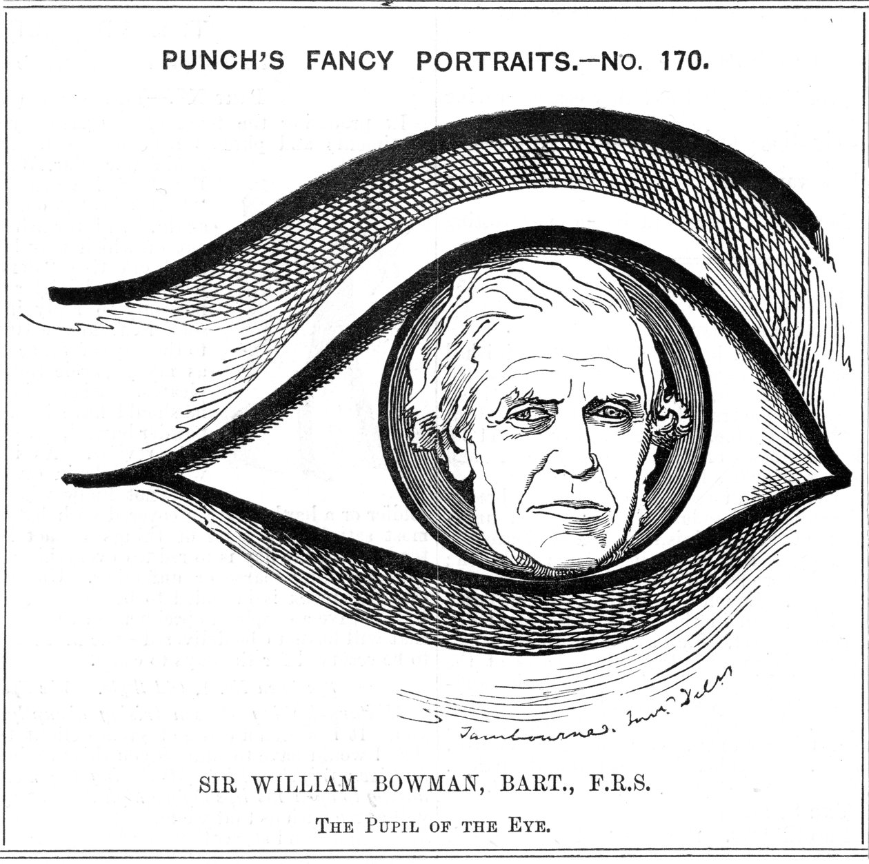 William Bowman, İngiliz anatomist, cerrah ve göz doktoru, 1884 by Edward Linley Sambourne