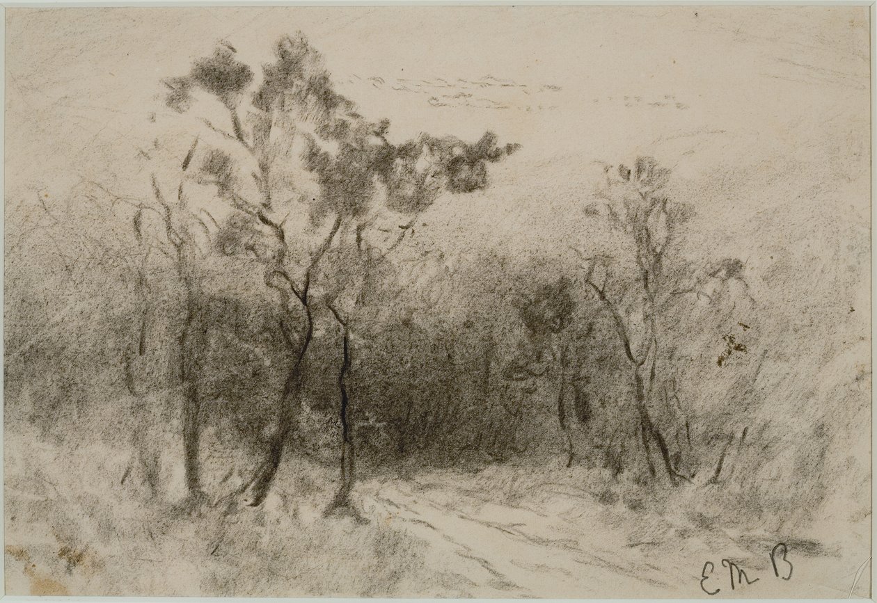 Yollu Manzara (#51), c. 1880'ler (kağıt üzerinde kömür) by Edward Mitchell Bannister