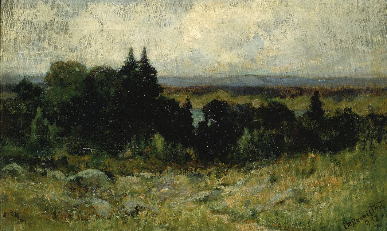 İsimsiz manzara, kayalar ve ağaçlarla dolu tarlalar, 1893. by Edward Mitchell Bannister