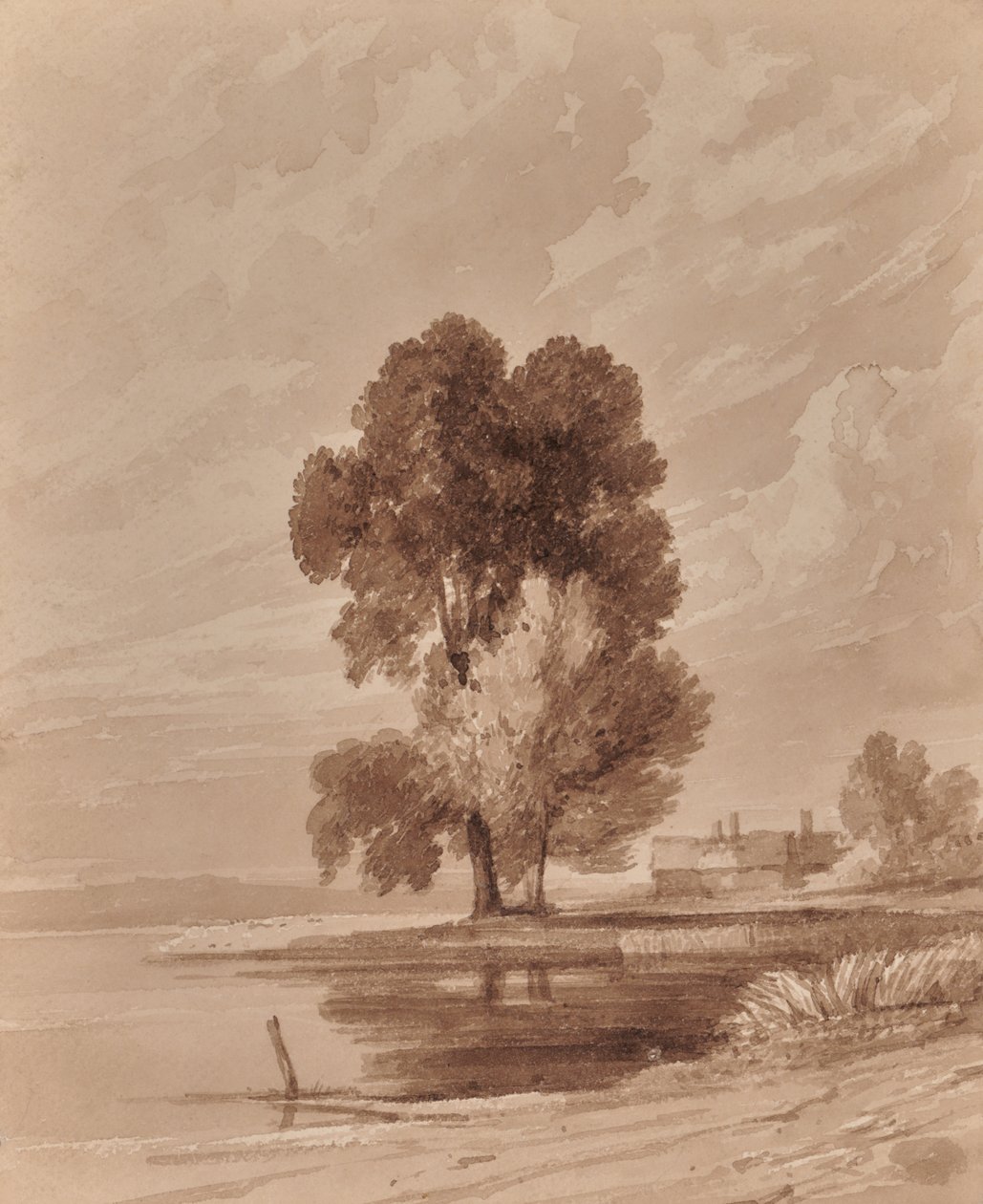Ağaçlar ile manzara by Edward Pretty