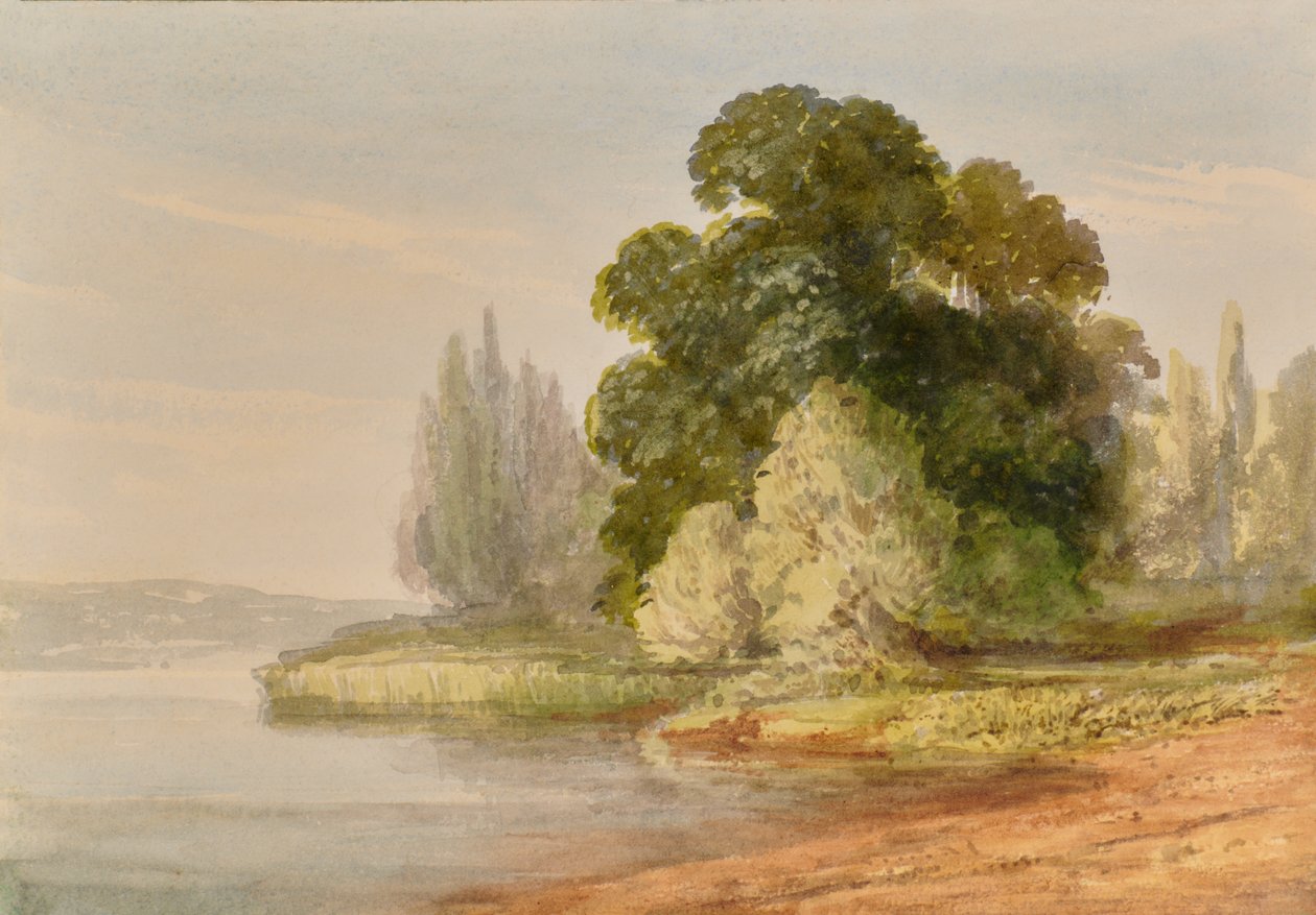 Ağaçlar ile manzara by Edward Pretty