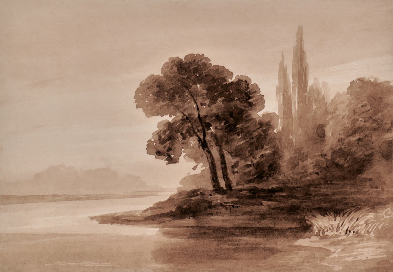 Ağaçlar ile manzara by Edward Pretty