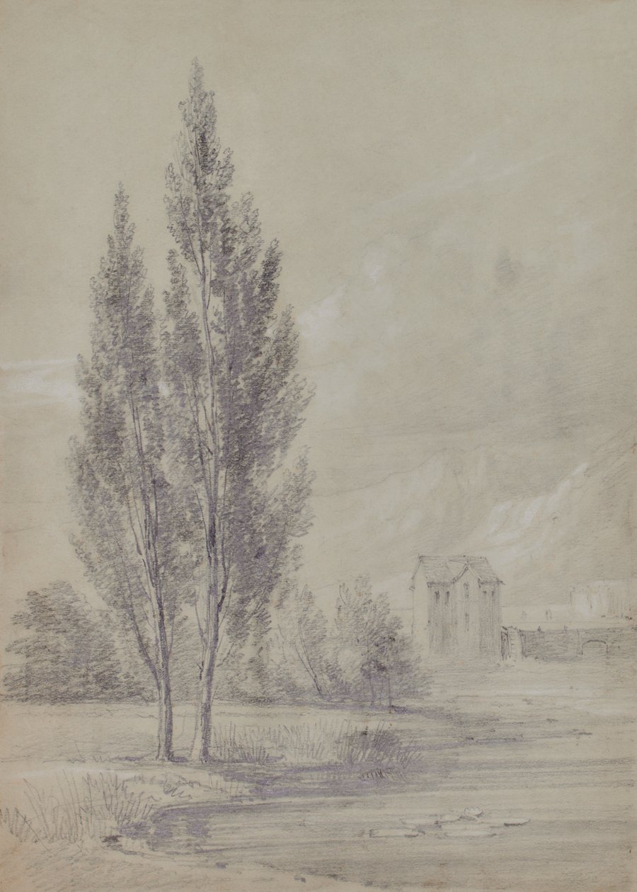Gölün yakınında ağaçlarla dolu manzara by Edward Pretty