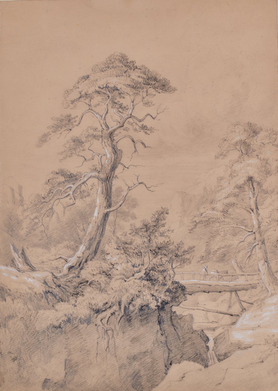 Ahşap köprü ile manzara by Edward Pretty