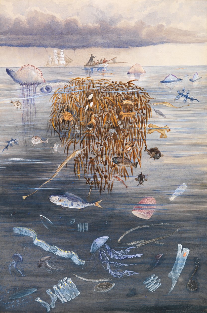 Kuzey Atlantik