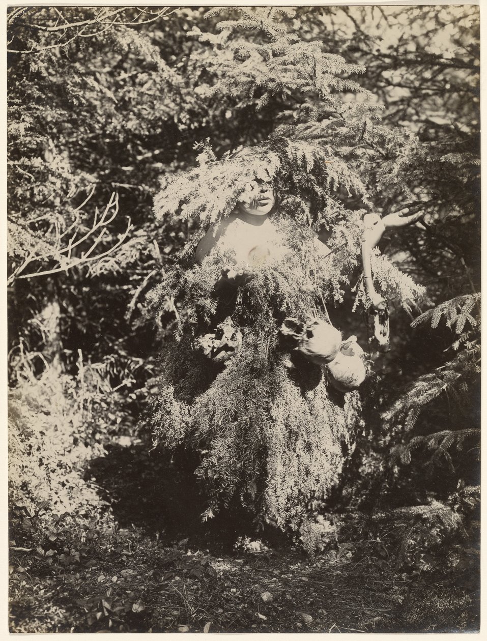  by Edward S. Curtis