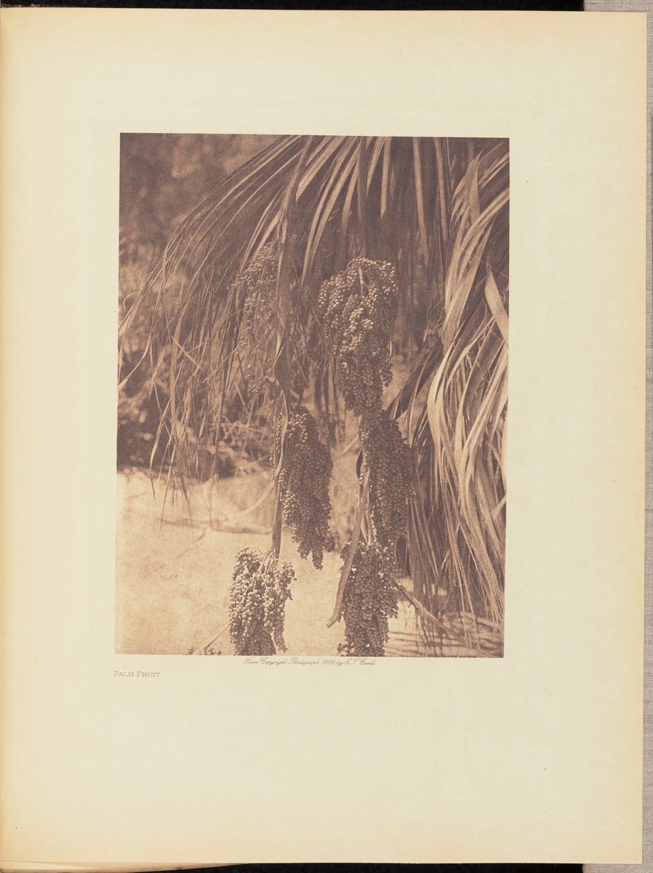  by Edward S. Curtis