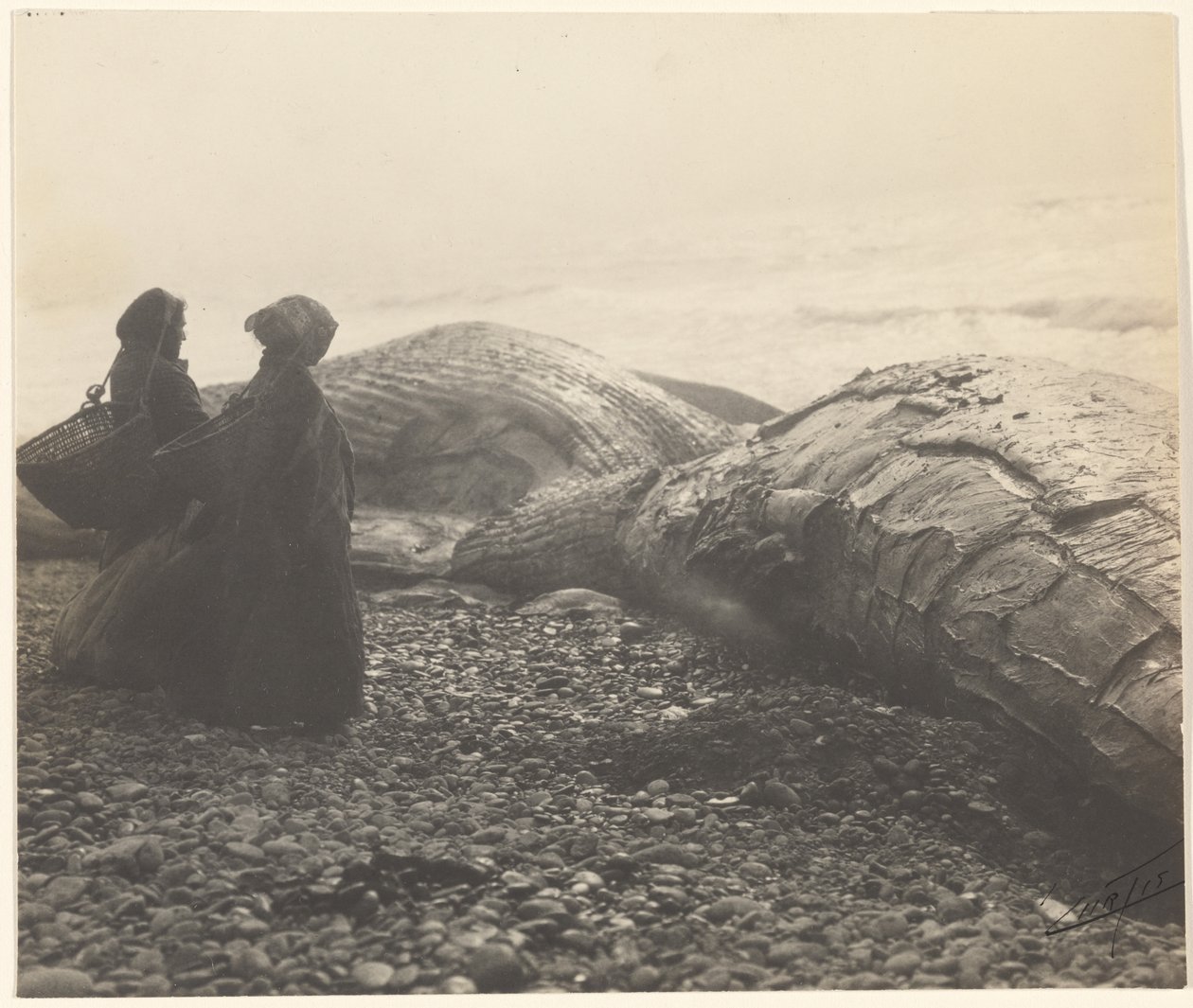  by Edward S. Curtis