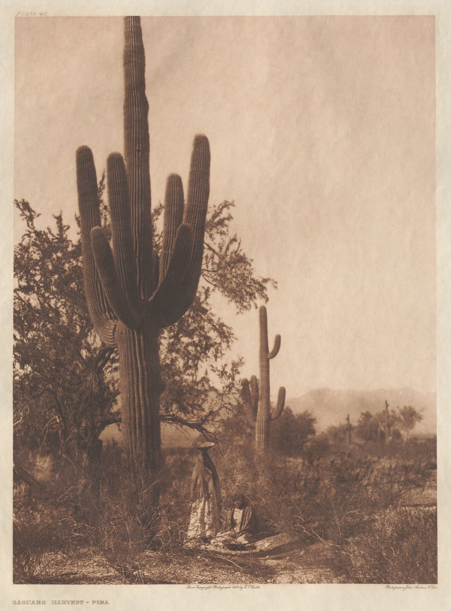  by Edward S. Curtis