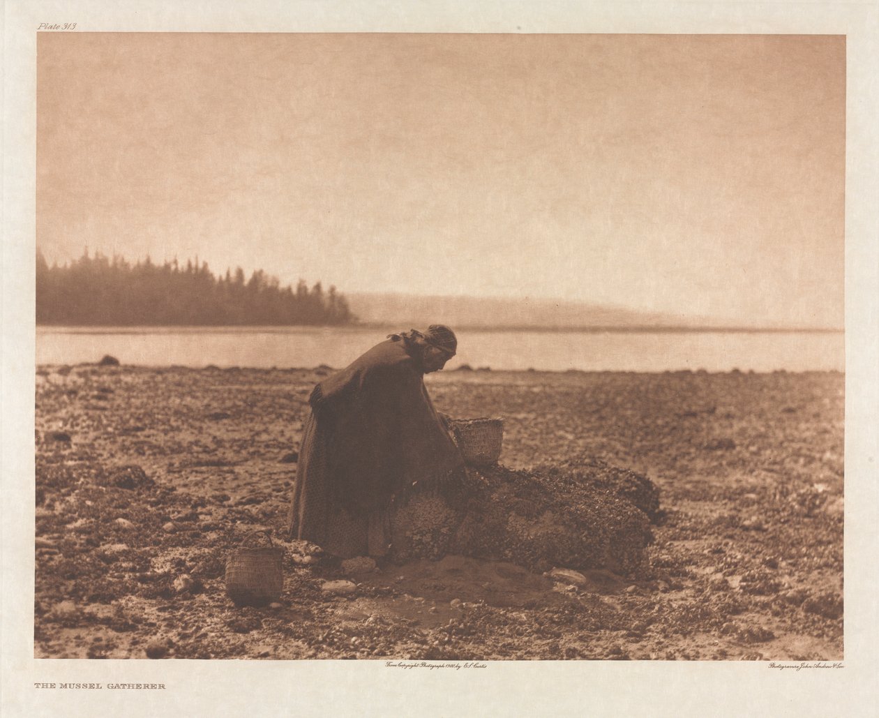 Portföy IX, Levha 313: Midye Toplayıcı by Edward S. Curtis