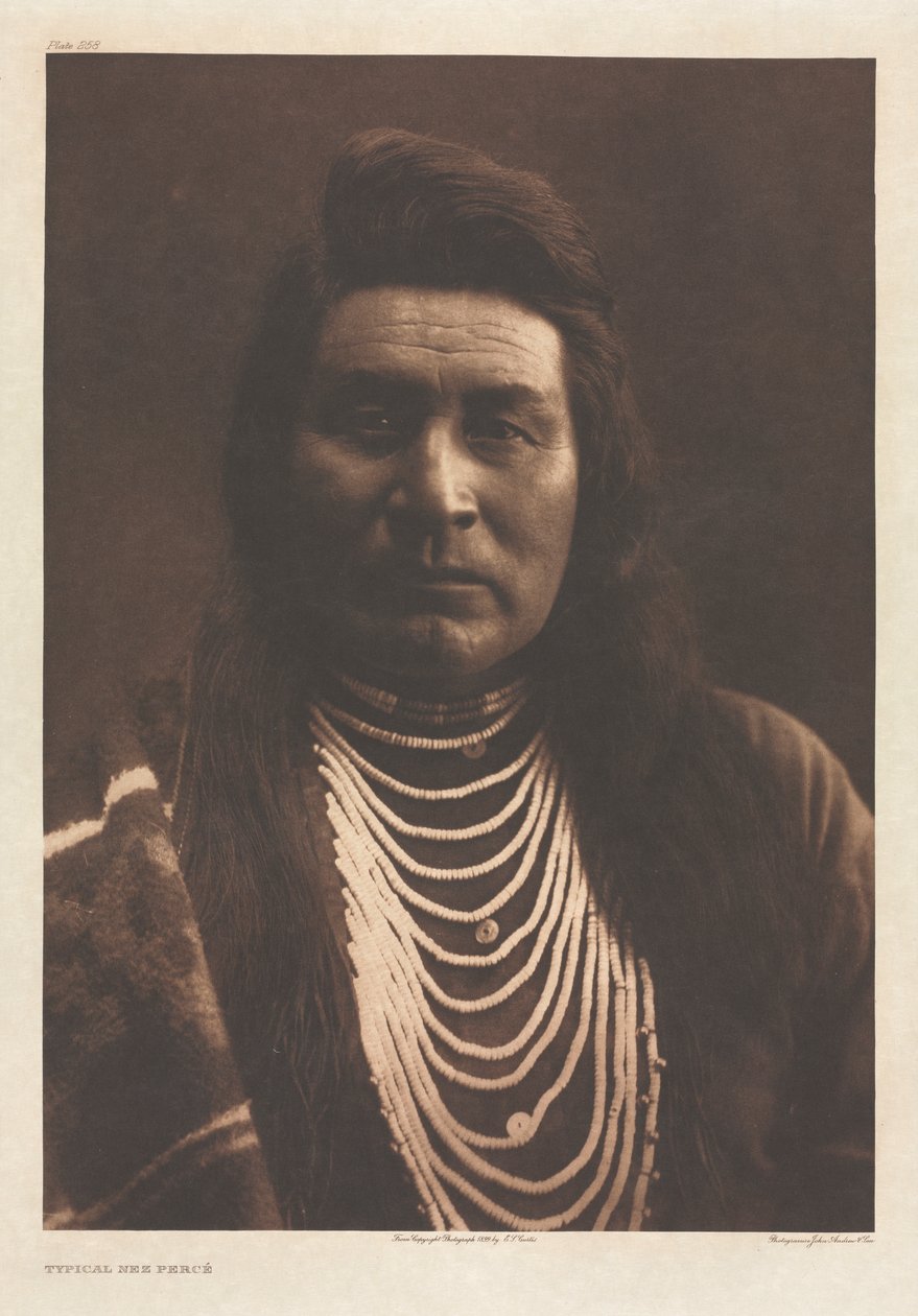 Portföy VIII, Plaka 258: Tipik Nez Yüzdesi by Edward S. Curtis