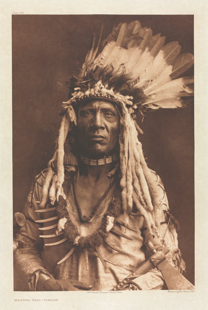 Portföy VI, Plaka 203: Gelincik Kuyruğu - Piegan by Edward S. Curtis