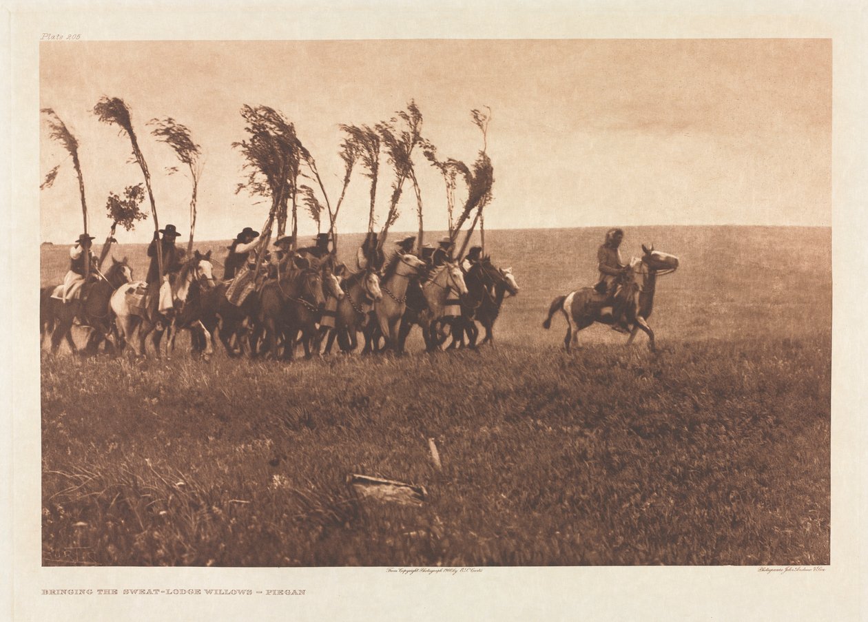 Portföy VI, Levha 205: Terli Orman Söğütlerini Getirmek - Piegan by Edward S. Curtis