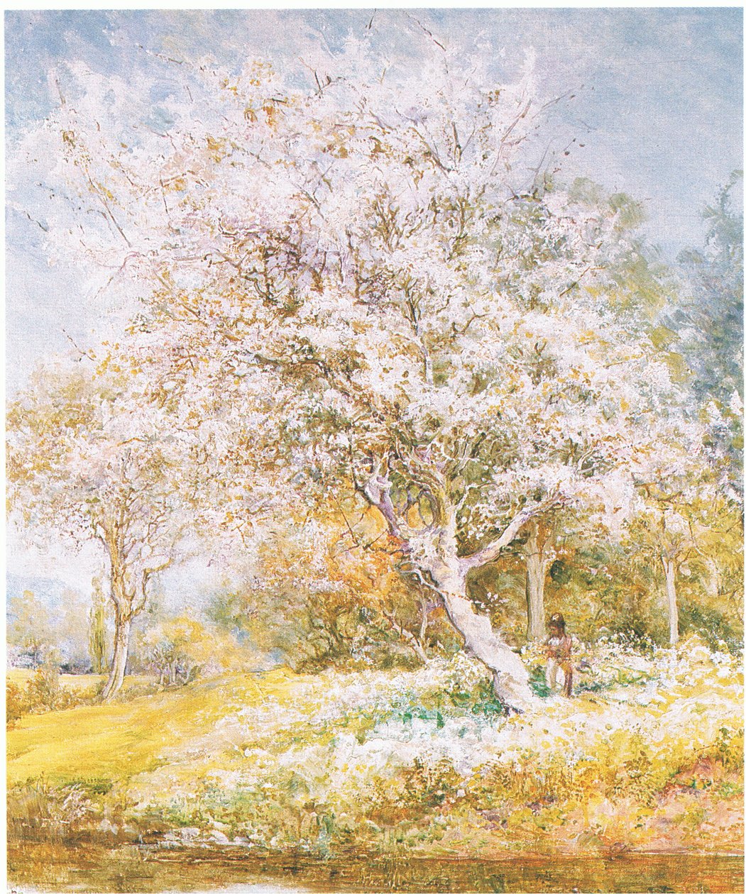 Bilinmeyen bir dergi veya kitap kaynağından çiçek toplamak (renkli lito) by Edward Samuel Harper