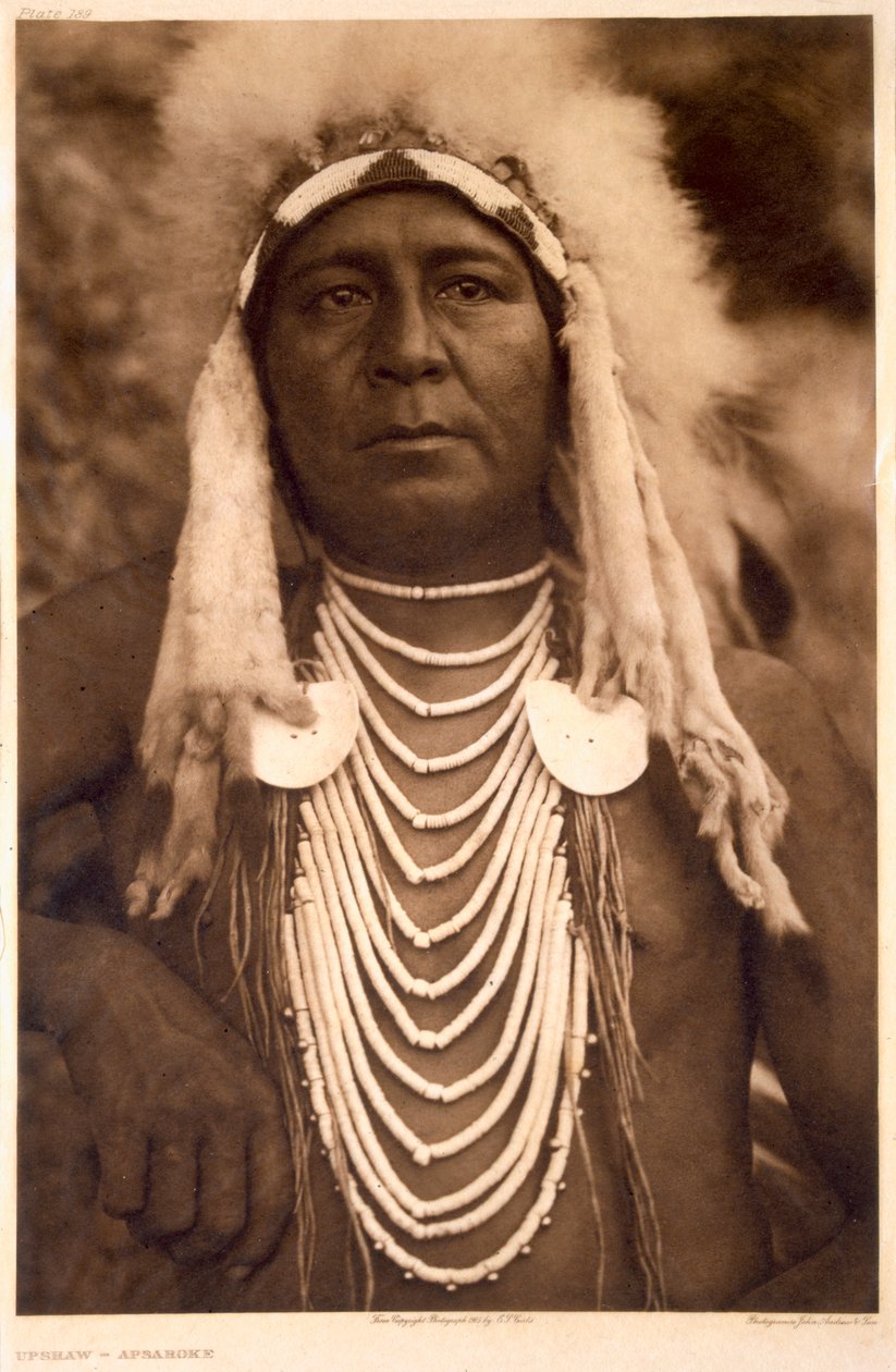 Apsaroke kabilesinin yükselişi by Edward Sheriff (after) Curtis