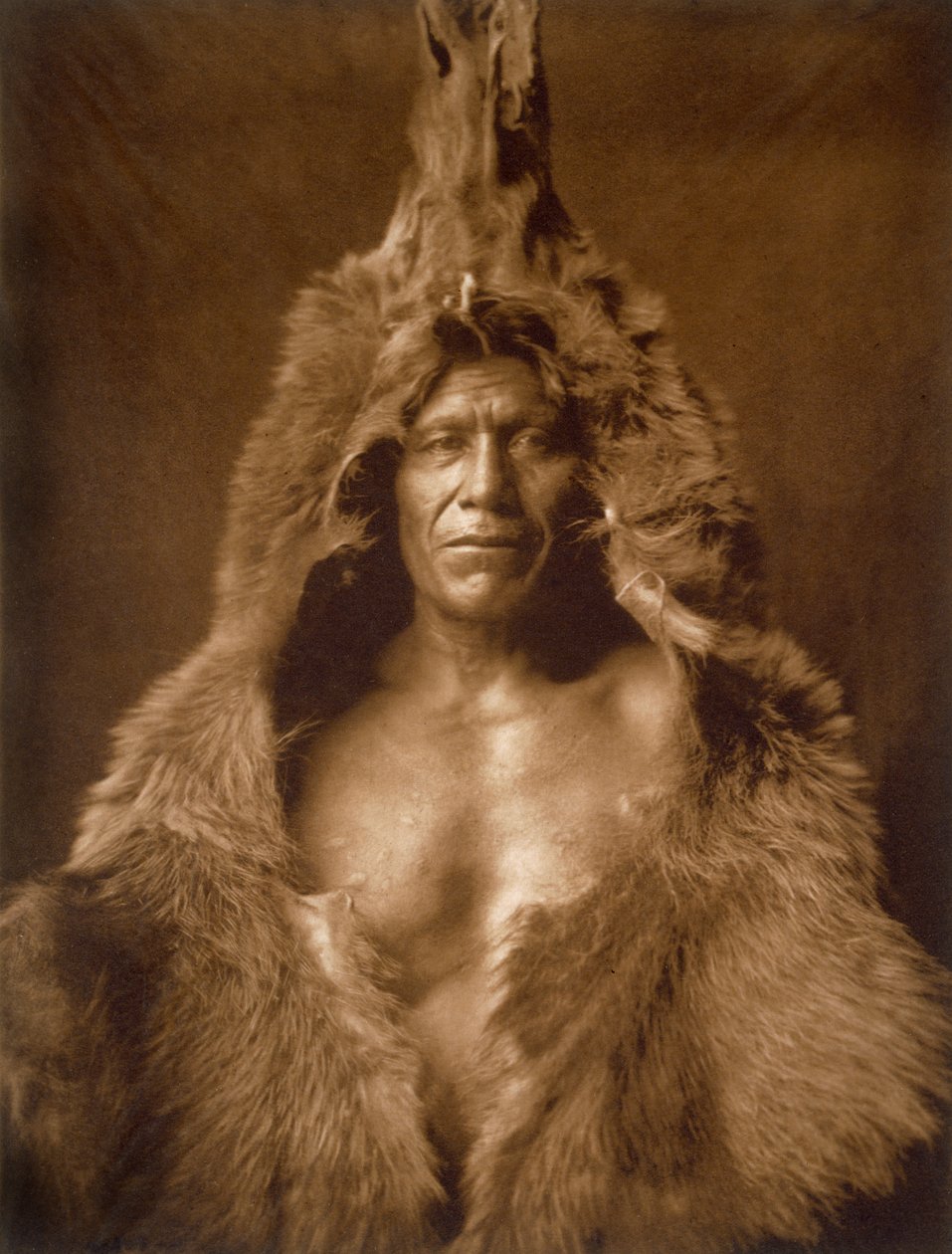 Arıkara kabilesinden Ayı Göbeği ayı postuna sarılmış by Edward Sheriff Curtis