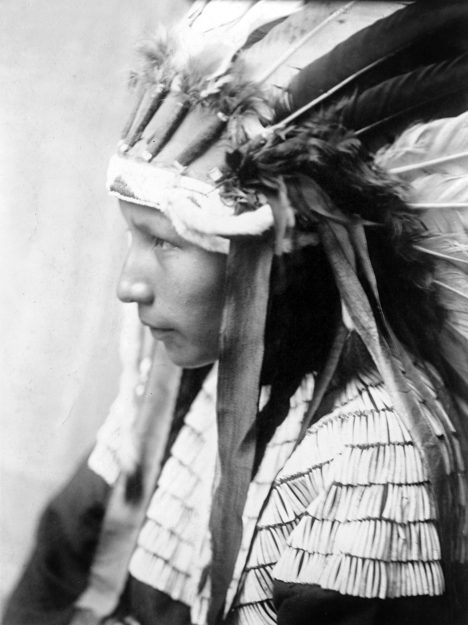 Cheyenne kızı, Kötü Atın Kızı (profil), c. 1905, fotoğraf Edward S. Curtis by Edward Sheriff Curtis