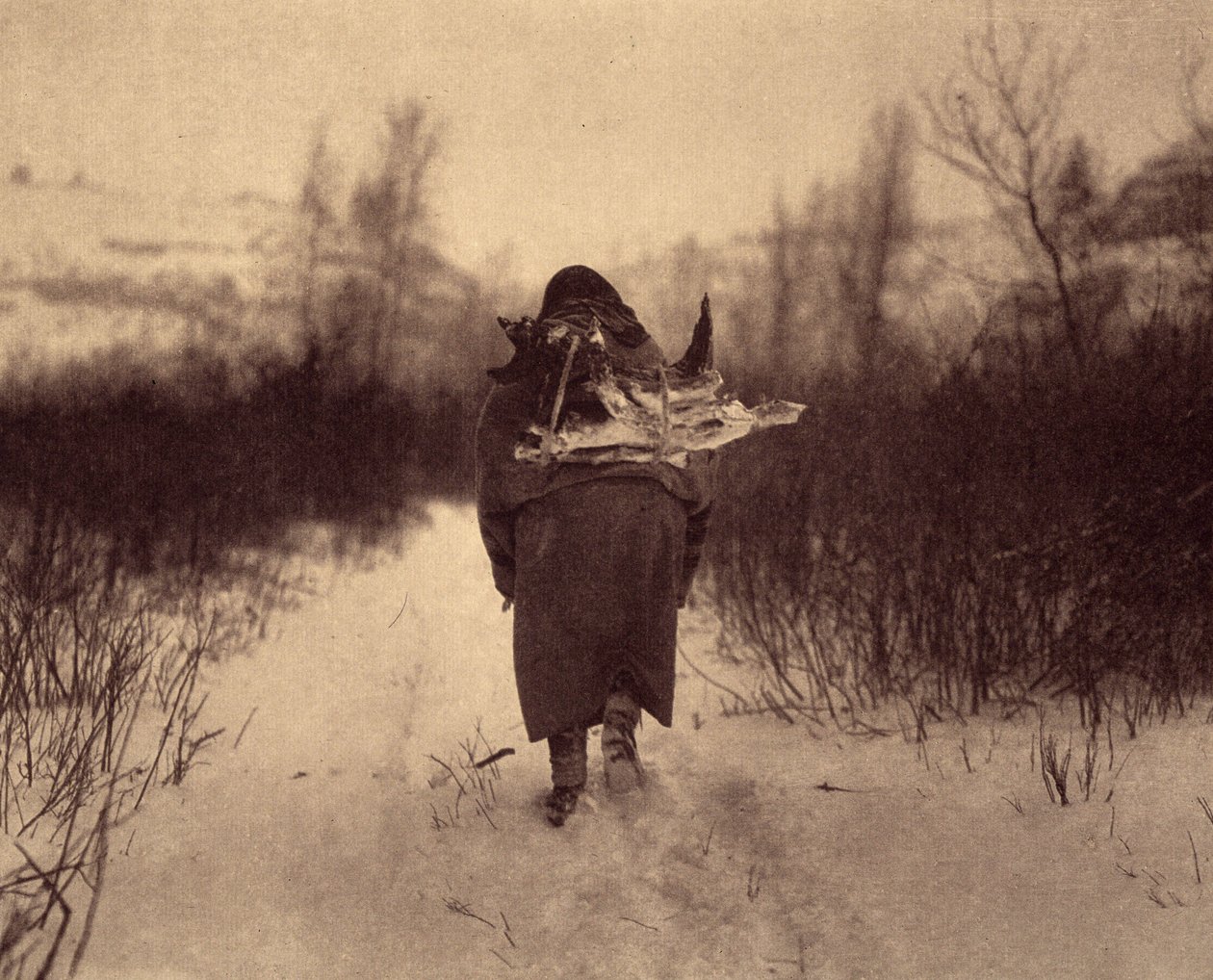kampa gitmek Montana, Pryor Dağları'ndaki bir derenin yakınındaki küçük bir kış kampında, karda odun taşıyan apsaroke bir Kızılderili. Fotoğraf, Edward S. Curtis (1868-1952) tarafından Kuzey Amerika Kızılderilileri hakkında yayınlanan ansiklopedinin 4. by Edward Sheriff Curtis