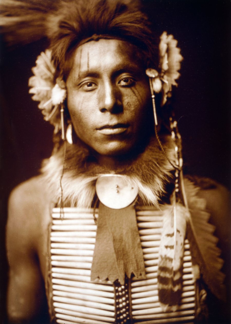 Oturan Kartal, Karga adam, yak. 1905, fotoğraf Edward S. Curtis by Edward Sheriff Curtis