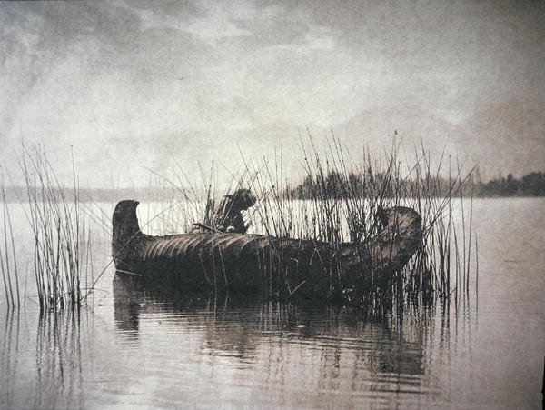 The Rush Gatherer, Montana (s/b fotoğraf) by Edward Sheriff Curtis