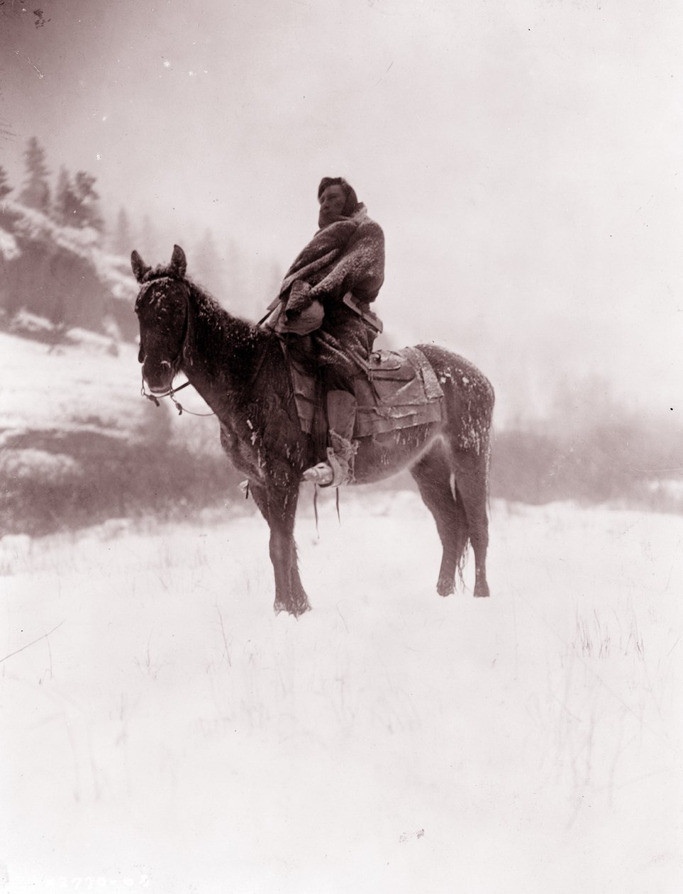 Kışın İzci, Apsaroke by Edward Sheriff Curtis