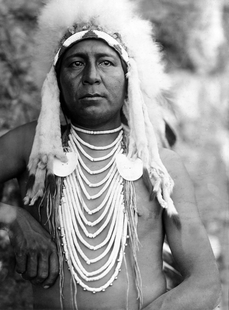 Upshaw, Apsaroke (Karga), yak. 1905, fotoğraf Edward S. Curtis by Edward Sheriff Curtis