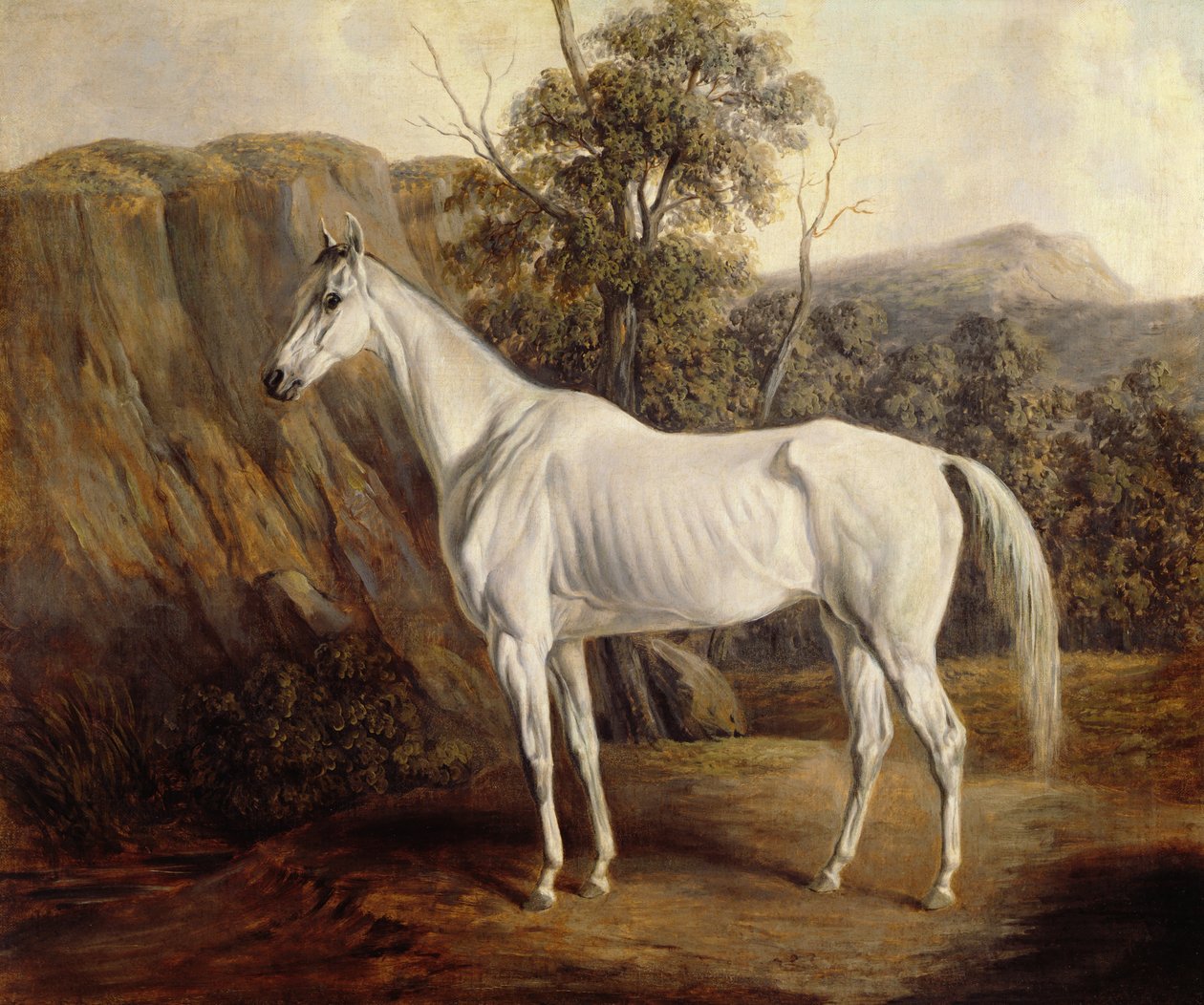 Bolivya, 1836 by Edward Troye