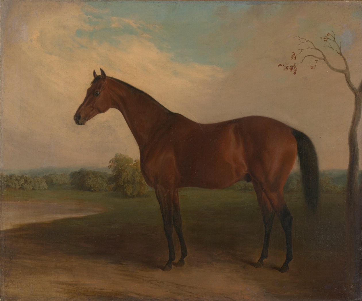 egemen by Edward Troye